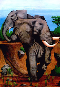 Dougie Batterson - 2004