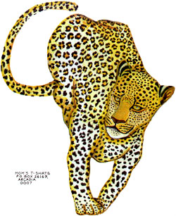 Dougie Batterson - 2004