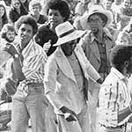 Premium website templates